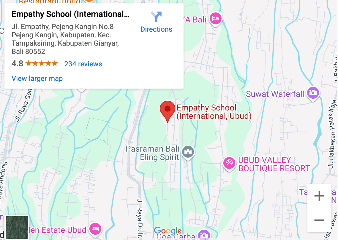 Historical Google Maps listing for Empathy School showing a 4.8 rating and 234 reviews