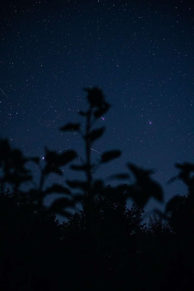 Students gathered outdoors during a camping night in Bali