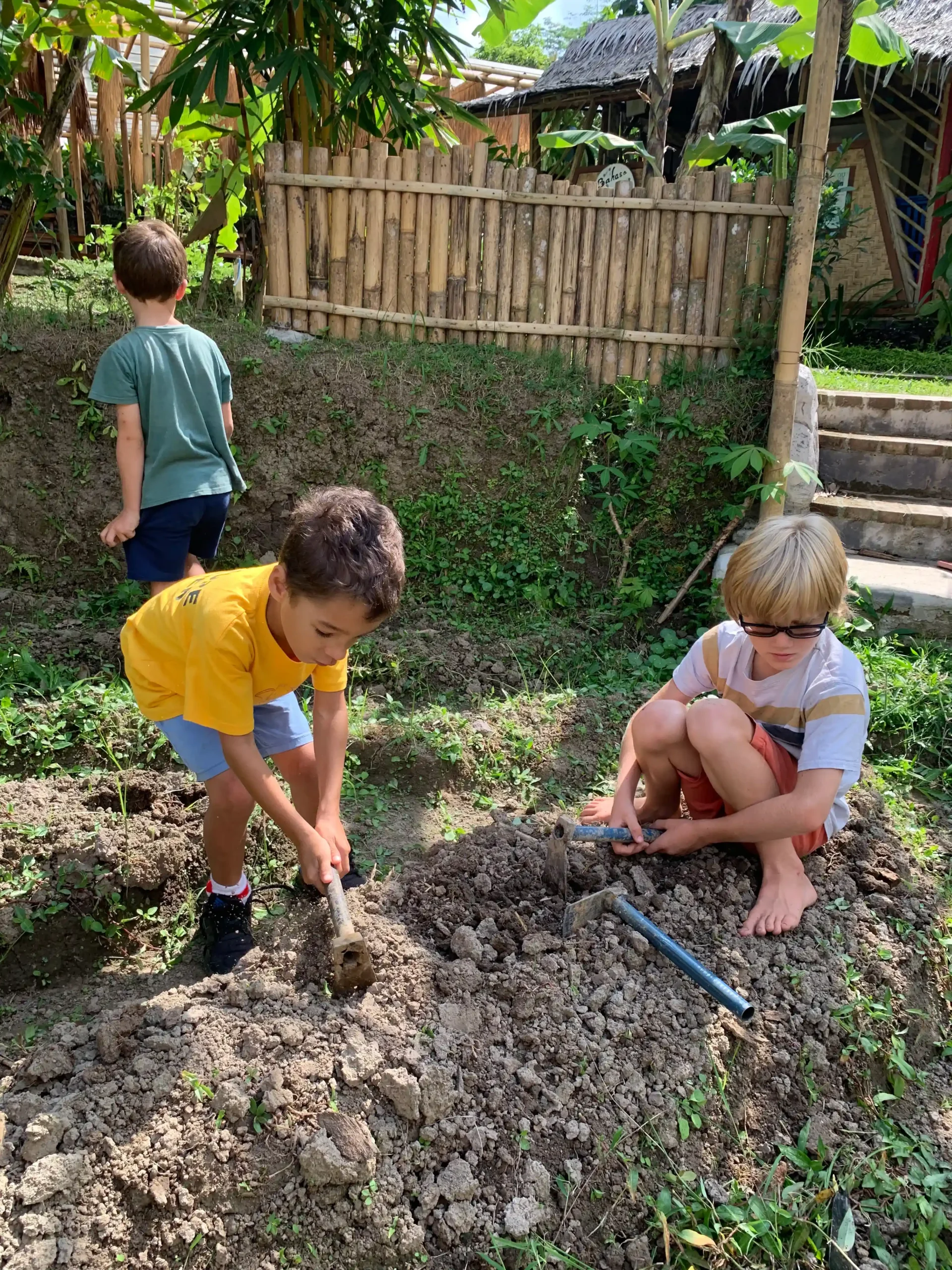 Children digging together in the school garden.