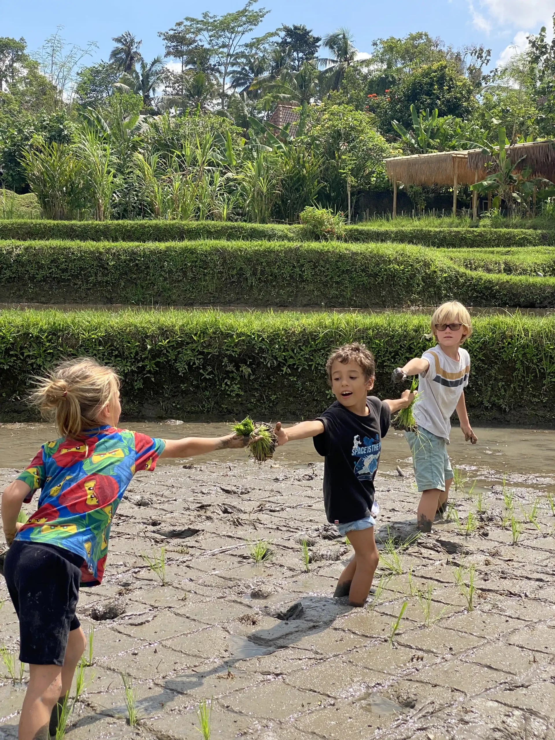 Children holding rice seedlings in the paddies near Empathy School Bali in Pejeng