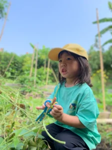 Gardening at Empathy